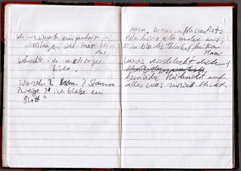 blackredbook (6)